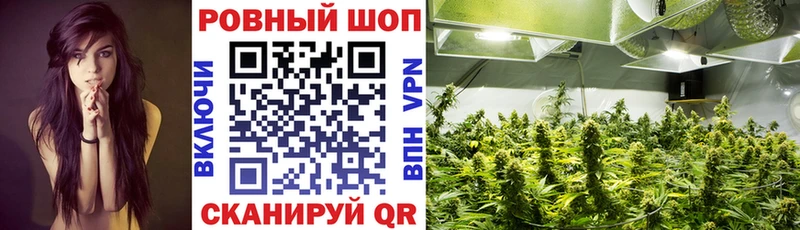 Где купить наркотики Гаврилов Посад Псилоцибиновые грибы  Cocaine  A-PVP  Мефедрон  Гашиш  Канабис 