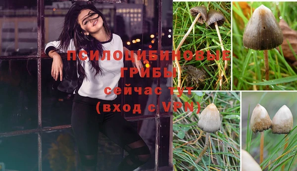 a pvp Верхний Тагил