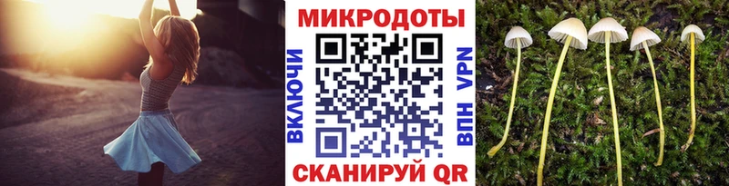 купить  сайты  Гаврилов Посад  MEGA маркетплейс  Псилоцибиновые грибы Psilocybe 